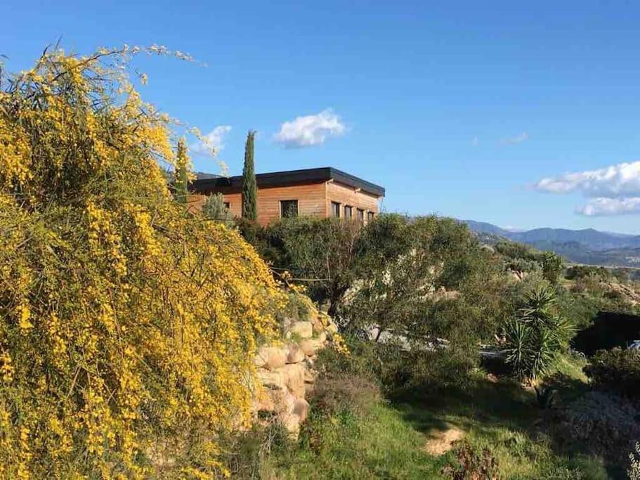 Villa Casa Turrigiani Sagone  Exterior foto